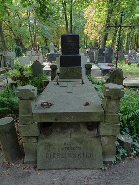 Zdjęcie grobu Juljan Junosza Ciesliński (1)