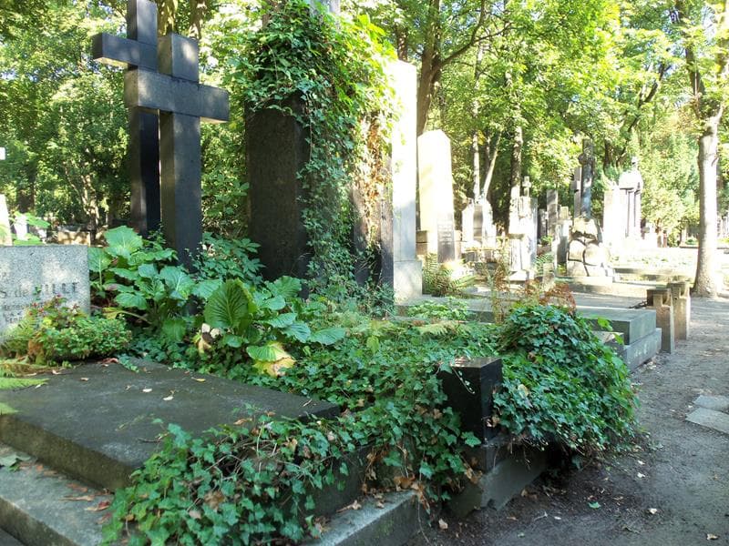 Zdjęcie grobu Ignacy Szczeniowski (1)