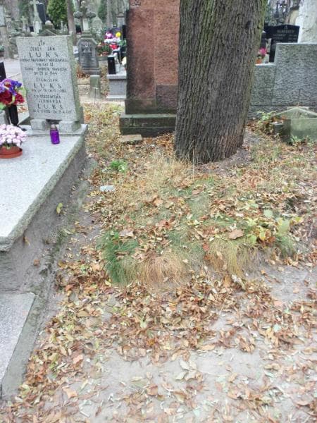 Zdjęcie grobu: Pole Grobowe