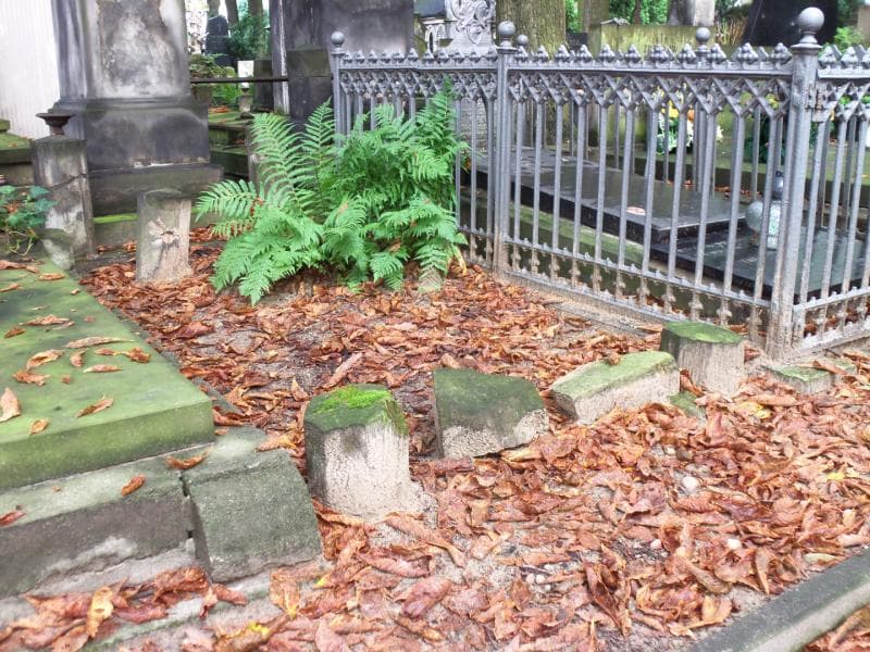 Zdjęcie grobu Franciszek Klein (1)
