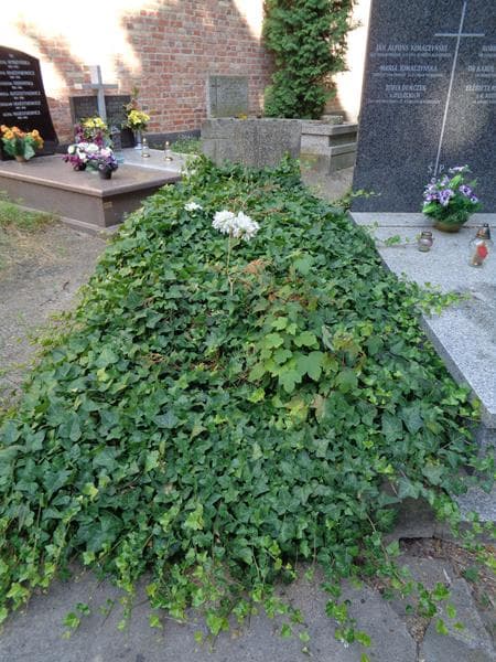 Zdjęcie grobu Maria Głowińska (1)