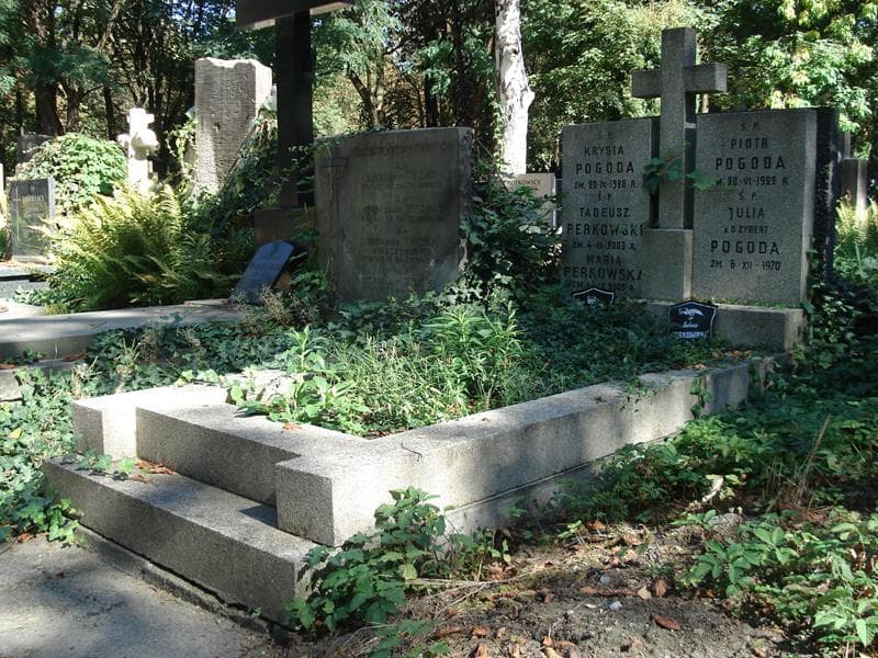 Zdjęcie grobu Piotr Pogoda (1)