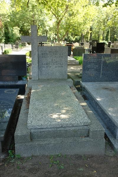 Zdjęcie grobu Stanisław Senderacki (1)