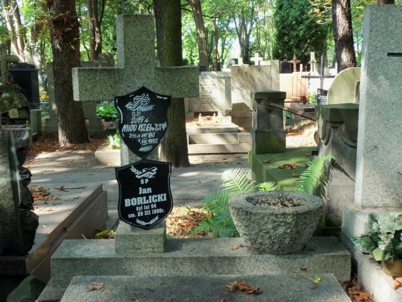 Zdjęcie grobu Irena Borlicka (2)