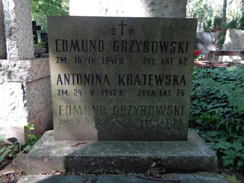 Zdjęcie grobu Antonina Krajewska (1)