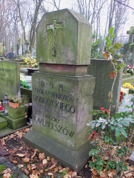 Zdjęcie grobu Henryk Dobrzycki (2)