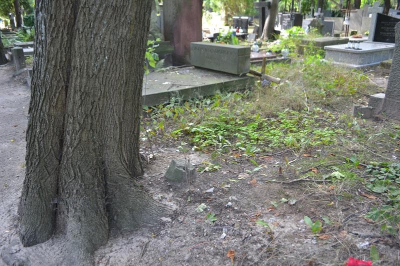 Zdjęcie grobu: Pole Grobowe