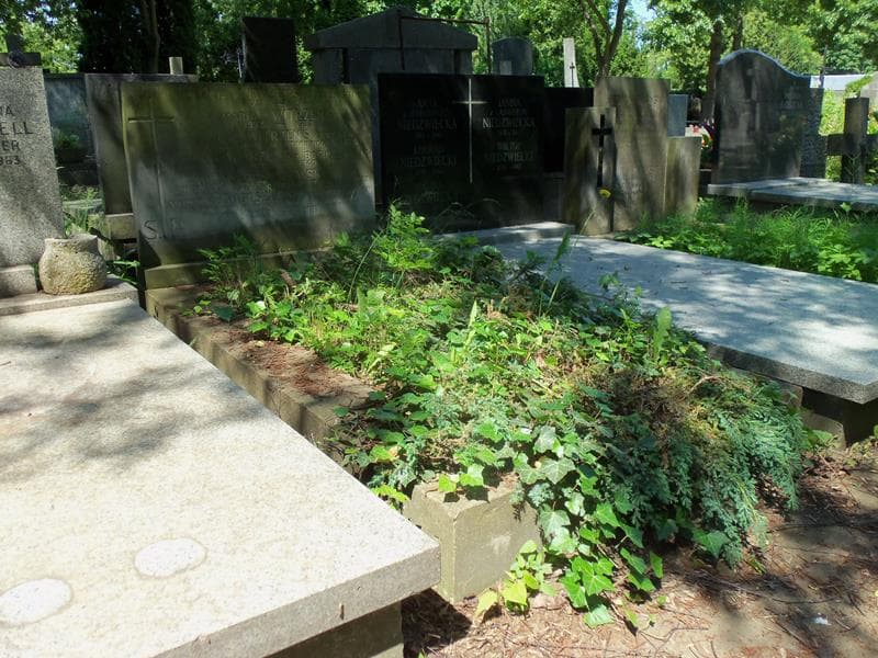 Zdjęcie grobu Antonina Boguszewska (1)