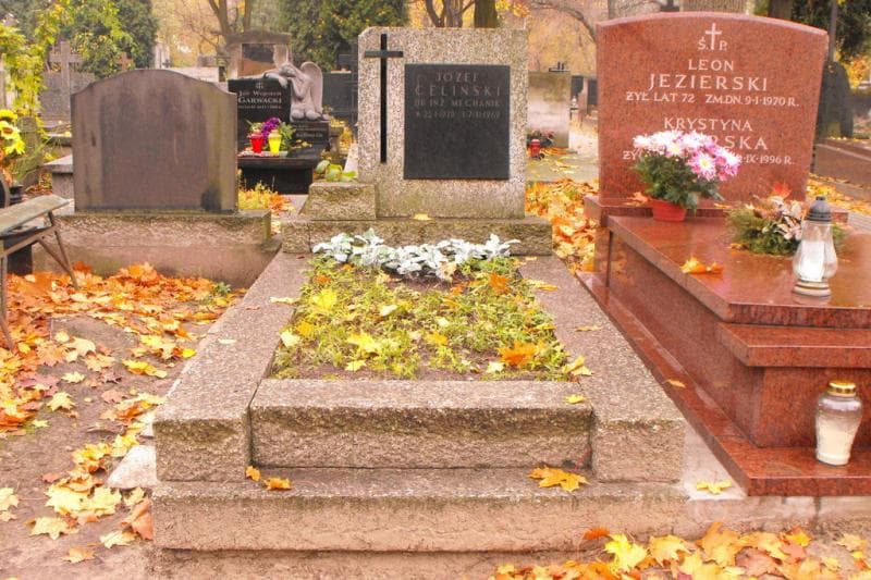 Zdjęcie grobu: Józef Celiński