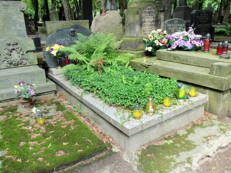 Zdjęcie grobu Henryk Sławacki (1)