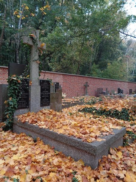Zdjęcie grobu: Stanisława Langda