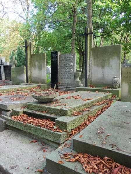 Zdjęcie grobu Aleksander Czerni (1)