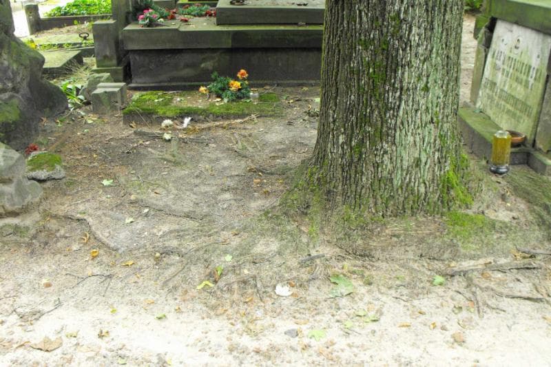 Zdjęcie grobu: Bolesław Wolkowski