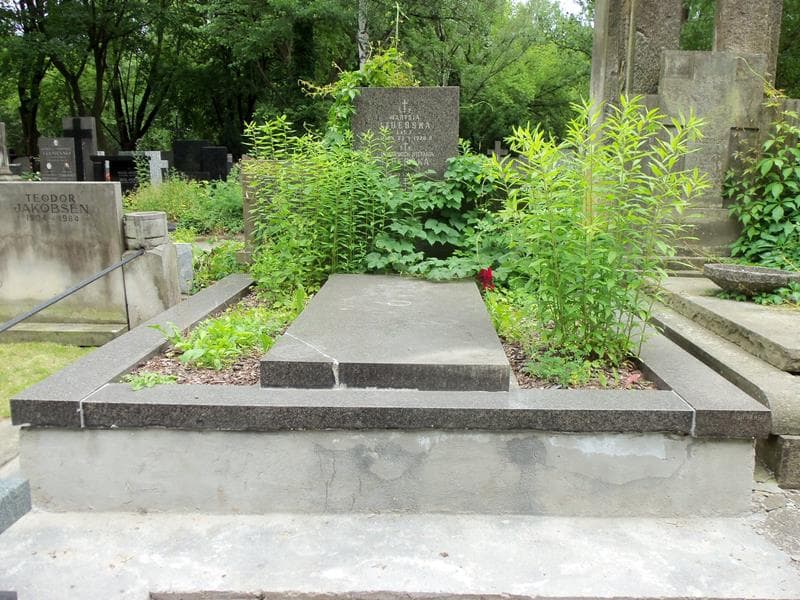 Zdjęcie grobu: Juliusz Walewski