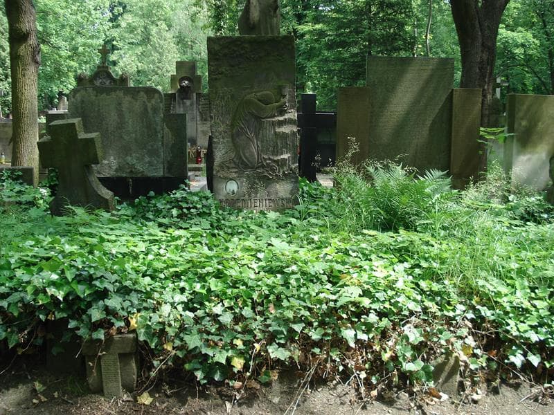 Zdjęcie grobu: Zofja Krzemieniewska