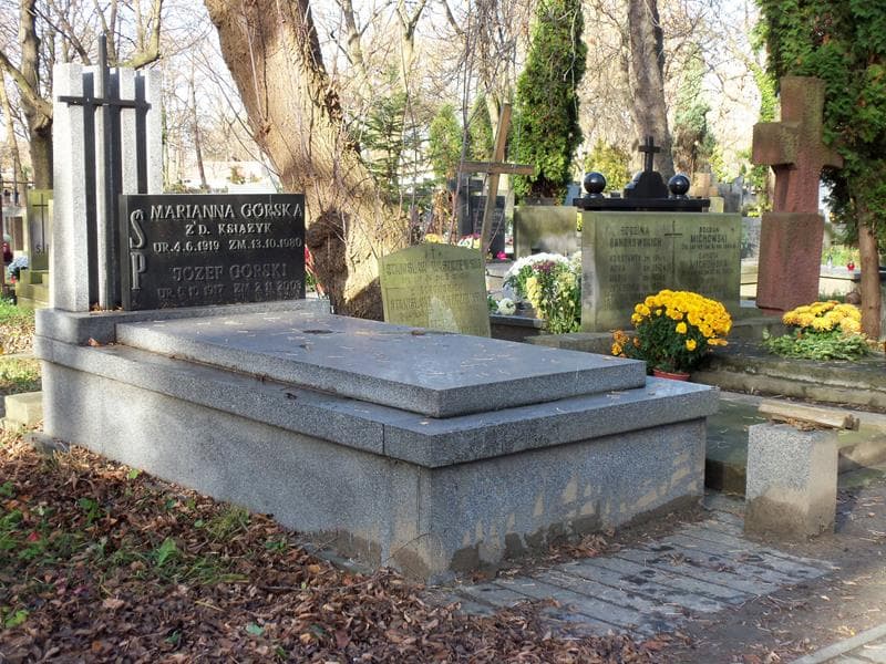 Zdjęcie grobu Józef Górski (1)