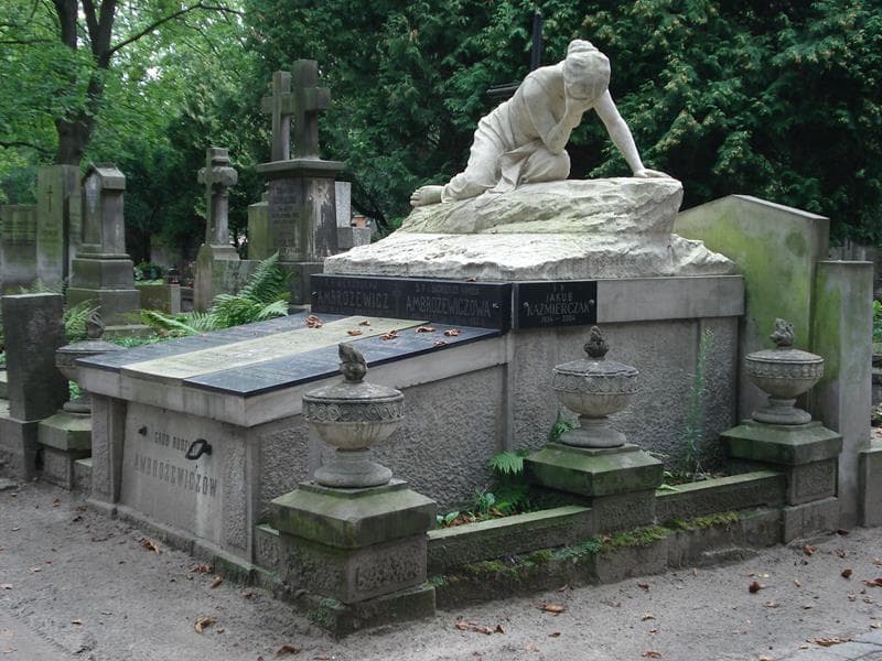 Zdjęcie grobu Stefan Ambrożewicz (1)