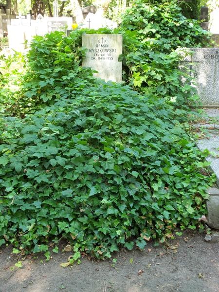 Zdjęcie grobu: Joasia Zemła