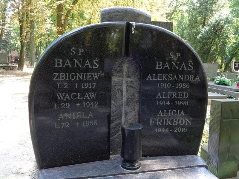 Zdjęcie grobu Aniela Banaś (1)