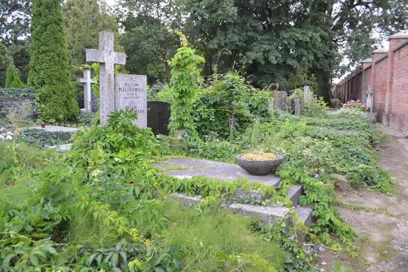 Zdjęcie grobu: Wacław Malikowski
