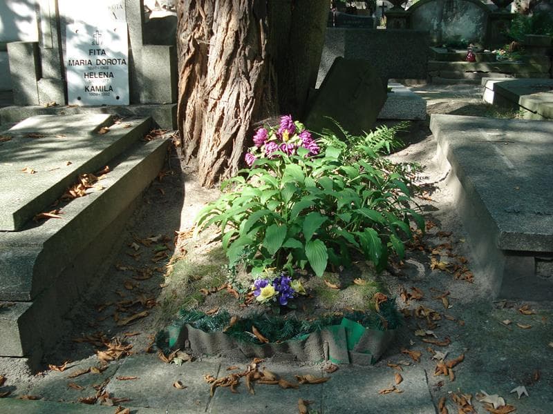Zdjęcie grobu: Kazimierz Nowakowski
