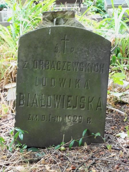 Zdjęcie grobu Ludwika Białowiejska (1)