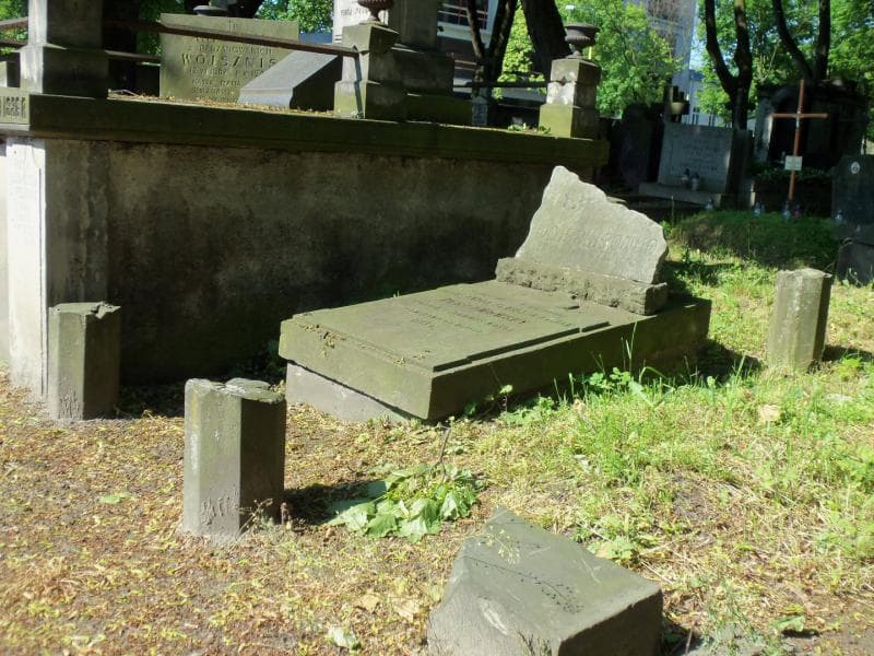 Zdjęcie grobu Stanisława Perzanowska (1)