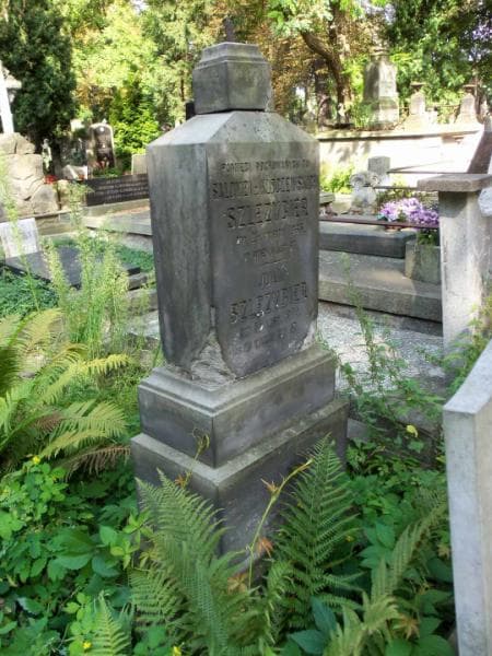 Zdjęcie grobu Salomea Szlezygier (2)