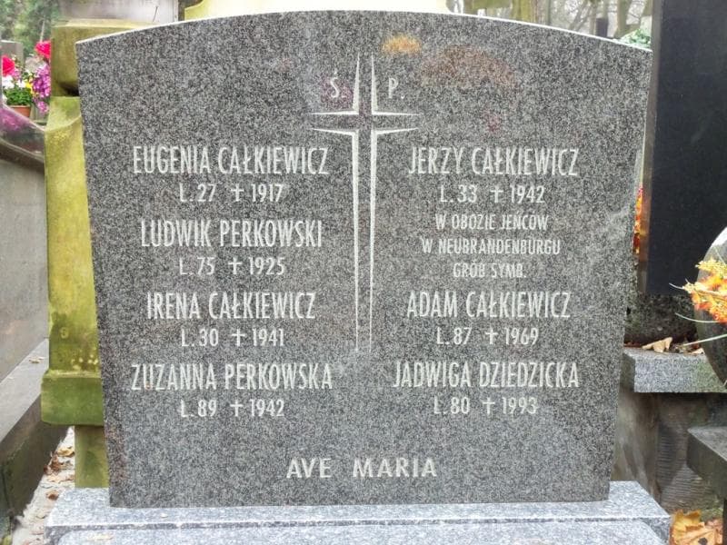 Zdjęcie grobu Ludwik Perkowski (2)