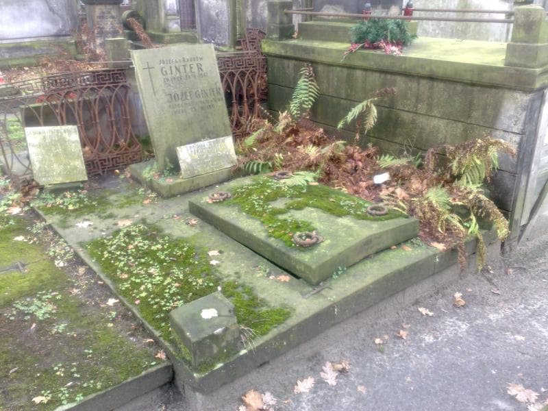 Zdjęcie grobu: Zygmunt Eugeniusz Pokrzywiński