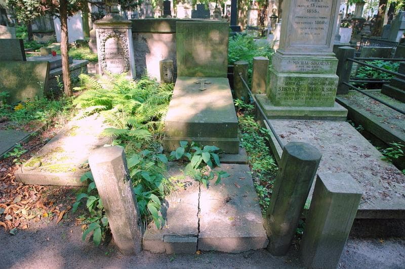 Zdjęcie grobu Teofil Kluczyński (1)