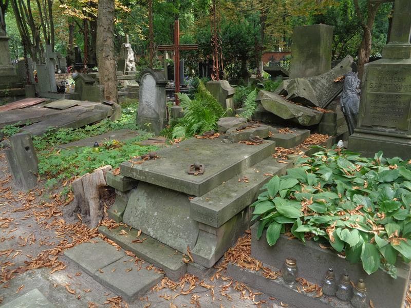 Zdjęcie grobu: Ludwik Brzeziński