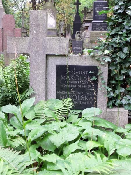 Zdjęcie grobu Zygmunt Makólski (2)