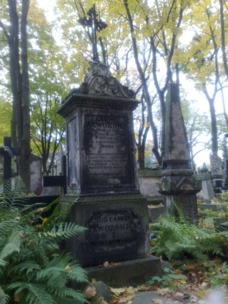 Zdjęcie grobu Adam Nowakowski (1)