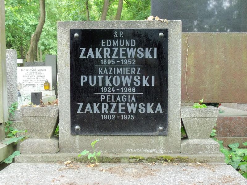 Zdjęcie grobu Kazimierz Putkowski (2)