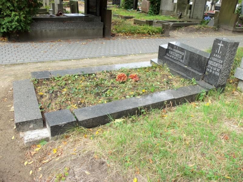 Zdjęcie grobu Zofia Hirszenfeld (1)