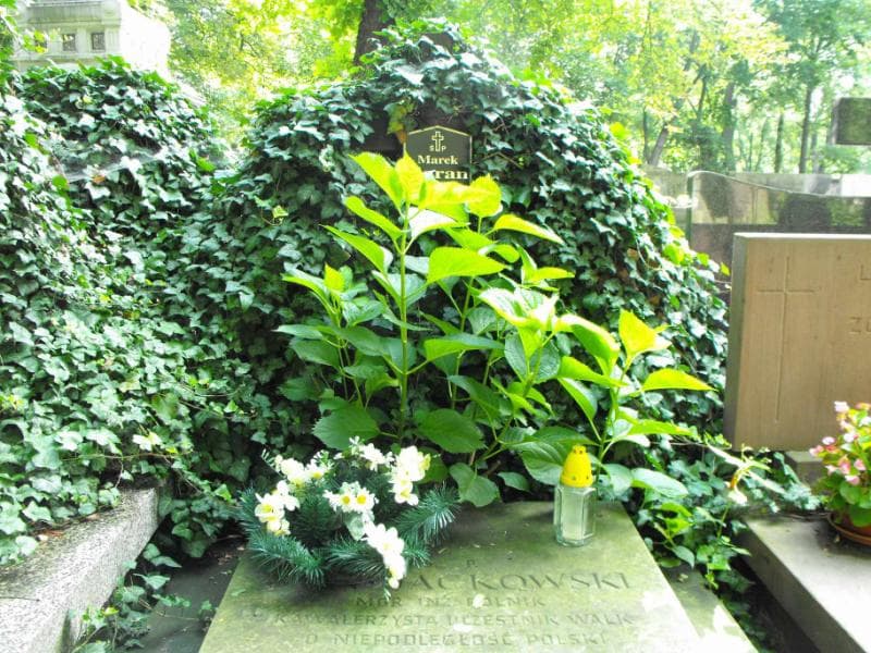 Zdjęcie grobu Krystyna Jackowska (2)