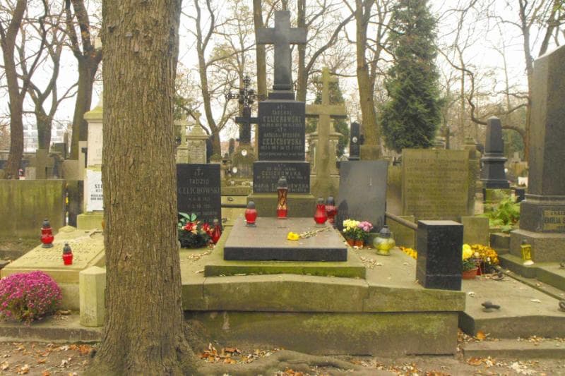 Zdjęcie grobu: Maria Celichowska