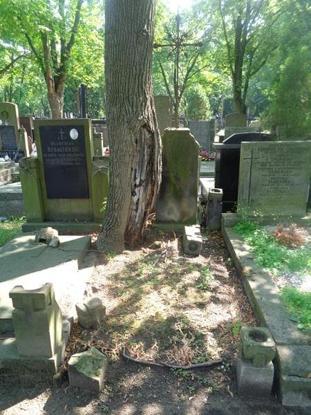 Zdjęcie grobu Walery Wysocki (1)