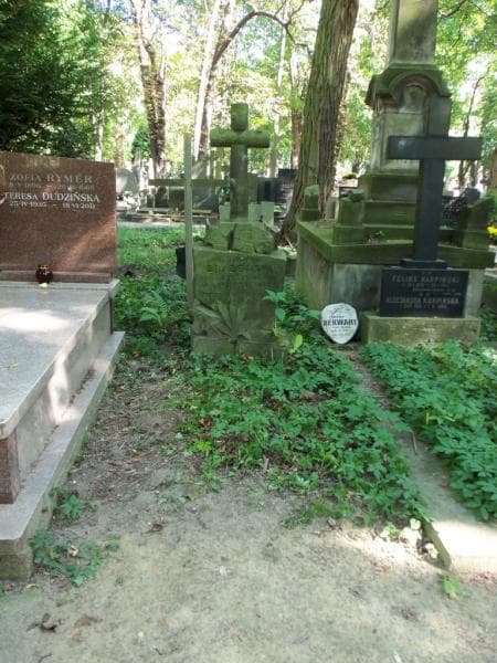 Zdjęcie grobu: Ludwik Drążewski