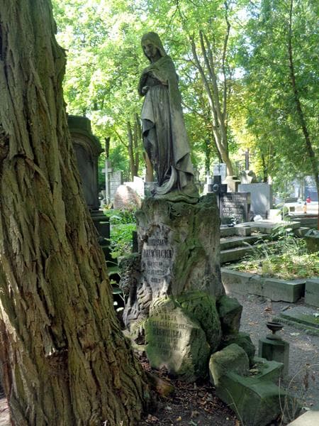 Zdjęcie grobu Marja Rzewnicka (1)