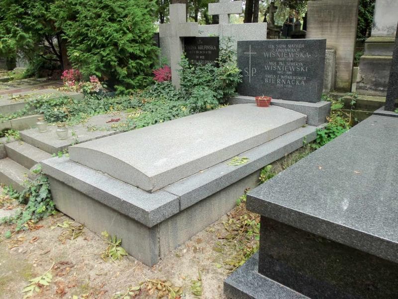 Zdjęcie grobu Aniela Biernacka (1)