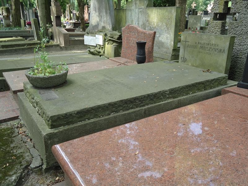 Zdjęcie grobu Janina Pluszyńska (1)