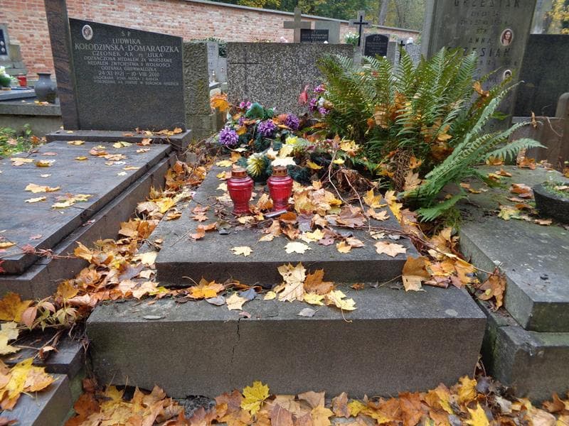 Zdjęcie grobu Władysław Rozmarynowski (1)