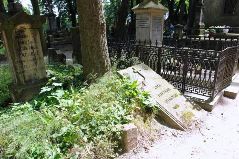 Zdjęcie grobu: Franciszek Krynicki