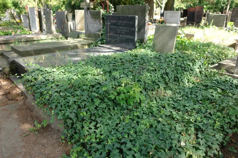 Zdjęcie grobu: Maria Jaskólska