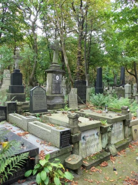 Zdjęcie grobu Bronisława Habrowska (1)