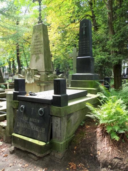 Zdjęcie grobu Juliusz Kwaśniewski (1)
