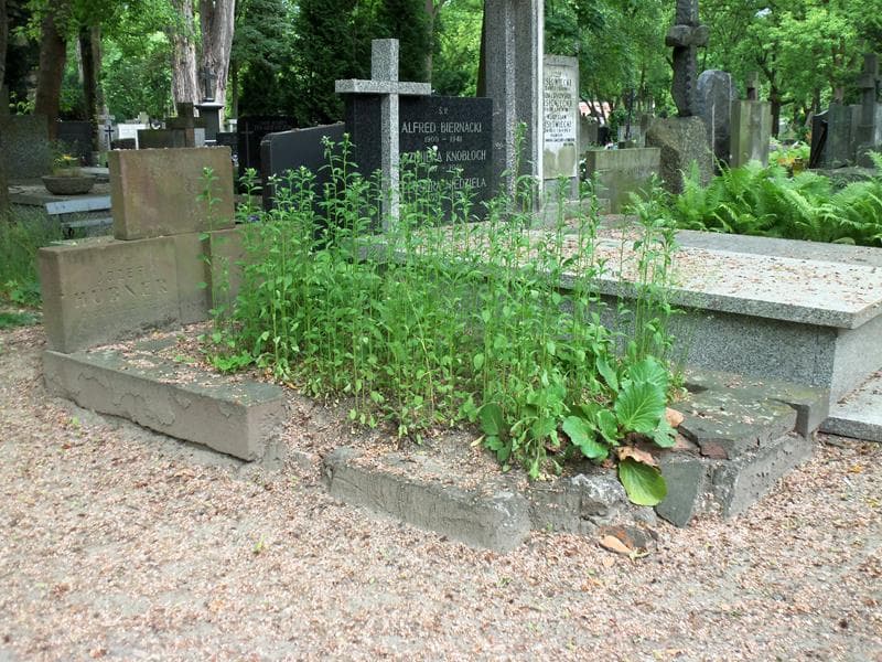 Zdjęcie grobu Józef Hubner (1)