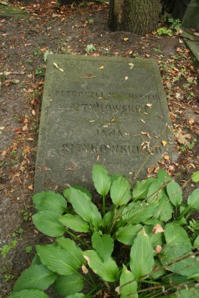 Zdjęcie grobu Petronela Petykowska (1)